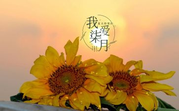 2024七月工作总结模板5篇