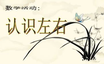 我认识了她作文精选8篇