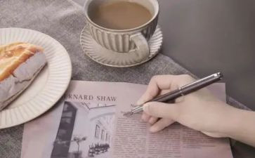 日记读后感300字模板6篇