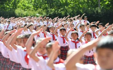 入队的申请书最新5篇