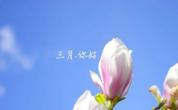 教师三月总结7篇