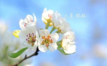 2024年三月工作总结通用7篇