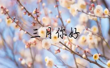 2024年三月工作总结优质7篇