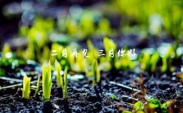 青协三月份工作总结推荐7篇