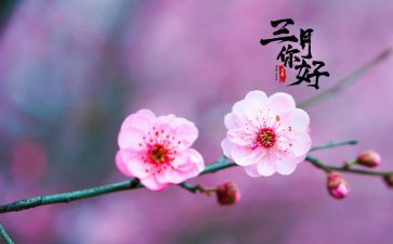 2024小班三月份工作总结优秀8篇
