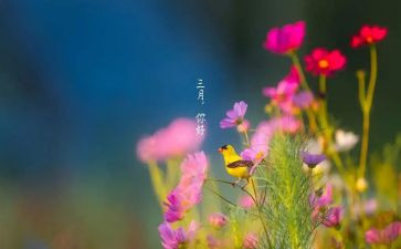 中班三月份的工作总结8篇
