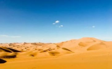 沙与沫读后感800字作文最新6篇