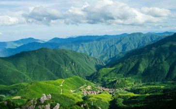 山鬼读后感500字优质5篇