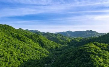 《山海情》电视剧观后感8篇