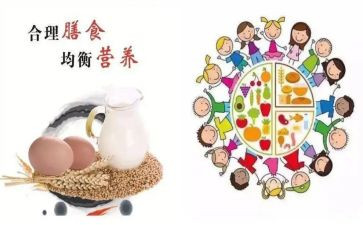幼儿膳食培训心得7篇
