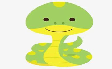 关于蛇的读后感通用5篇