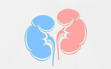肾内科月工作计划最新5篇