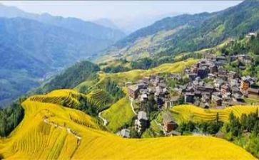 对生活有感悟的作文推荐8篇