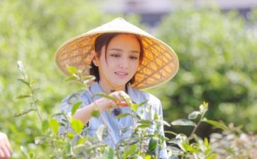 校生活部工作计划参考6篇