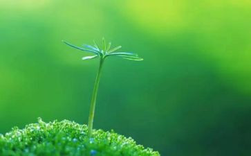 生命价值的作文最新5篇