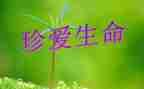 感受生命的作文600字5篇