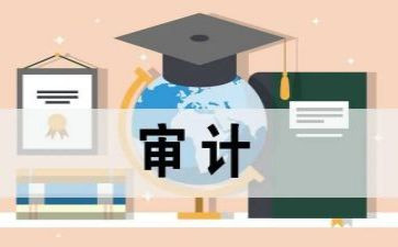 审计所的工作计划精选7篇