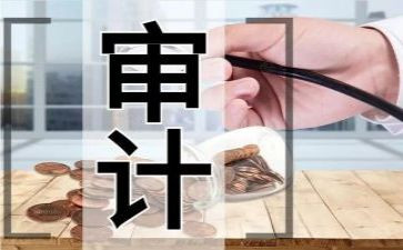 个人审计工作总结模板8篇