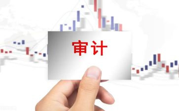 审计工作个人年终总结优秀6篇