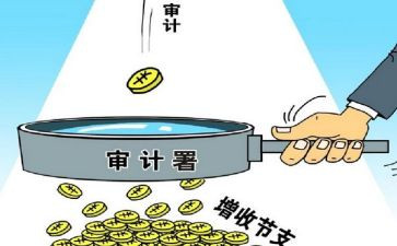 审计所的工作计划推荐5篇