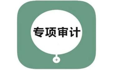 个人审计工作总结通用7篇