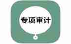 个人审计工作总结通用7篇