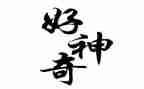 神奇的探险之旅作文500字8篇