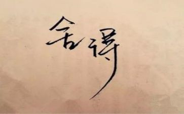 舍与得读后感800字通用7篇