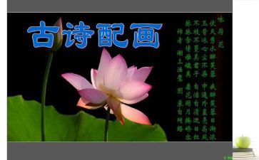 有关诗的作文优秀7篇