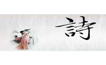 诗的读后感500字作文优质8篇