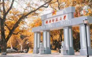 小学作文我的老师范文7篇