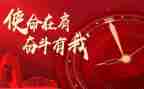 一条狗的使命写观后感精选7篇