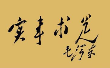 做实事的思想汇报精选5篇