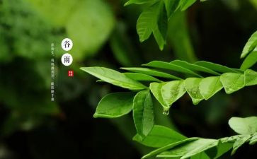 省十四运活动方案5篇