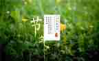小学生十四运观后感6篇