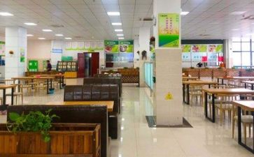 食堂工作的心得体会5篇
