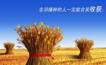 培训收获心得体会最新8篇