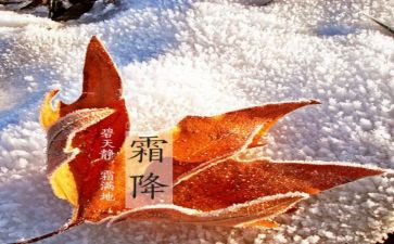 二十四节气霜降作文8篇