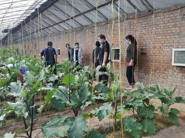 双学科心得体会7篇