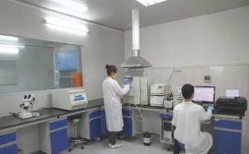 污水化验年终总结6篇
