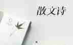 叙事抒情作文600字5篇