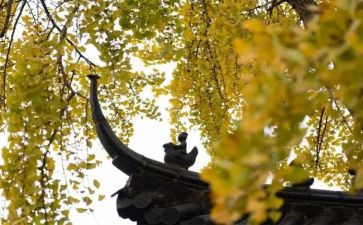 游少林寺心得体会8篇