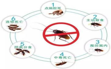 幼儿园除四害工作计划5篇