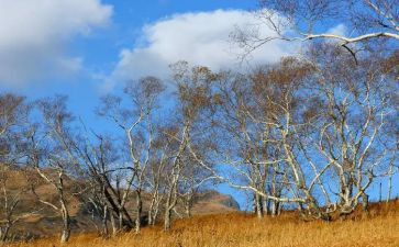 校园四季的作文600字6篇