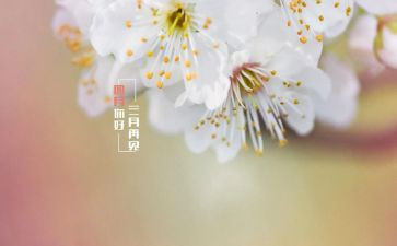 人间四月天读后感8篇