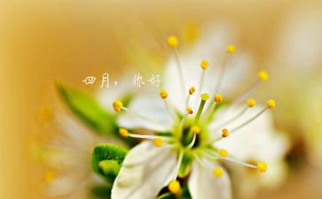 四月销售工作总结6篇