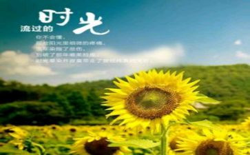 《岁月》观后感8篇