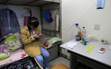 宿舍的工作计划5篇