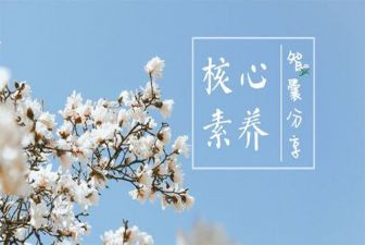 教师职业素养的心得体会7篇