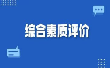 素质调研报告6篇